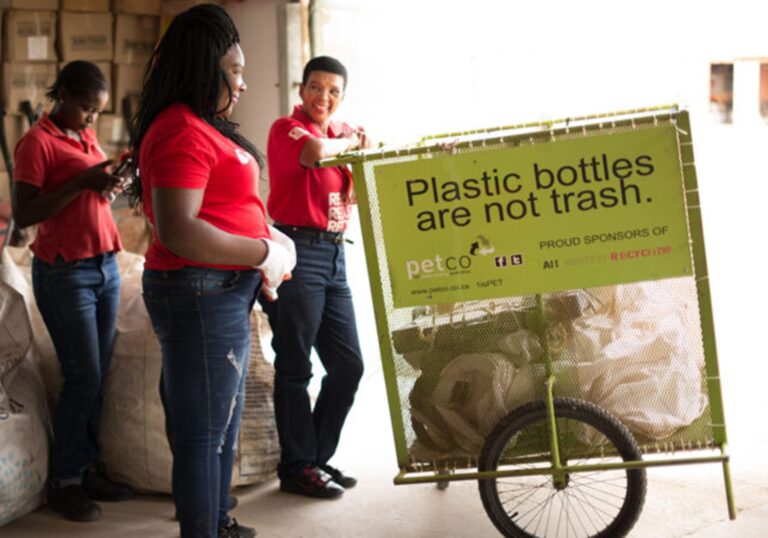 Read more about the article Waste businesses to thrive after support from PETCO